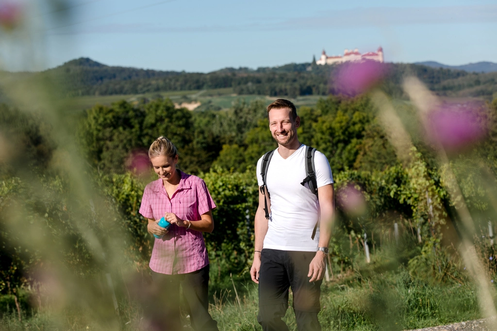 Wandern in NÖ Donau im Trend